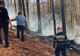 FOTO/ VIDEO Arde pădurea la Sinaia!