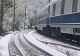 Copac doborât pe șine din cauza zăpezii, oameni blocați în tren