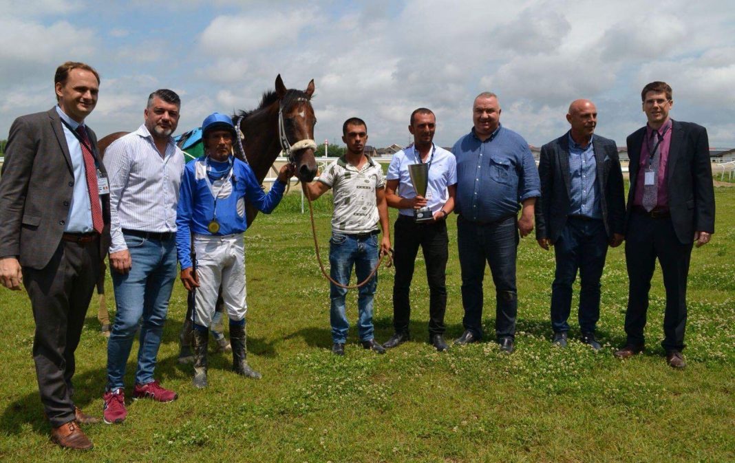 Duminică de excepţie la Hipodrom Ploiești: licitaţie de cai şi curse de pur sânge arab şi englez
